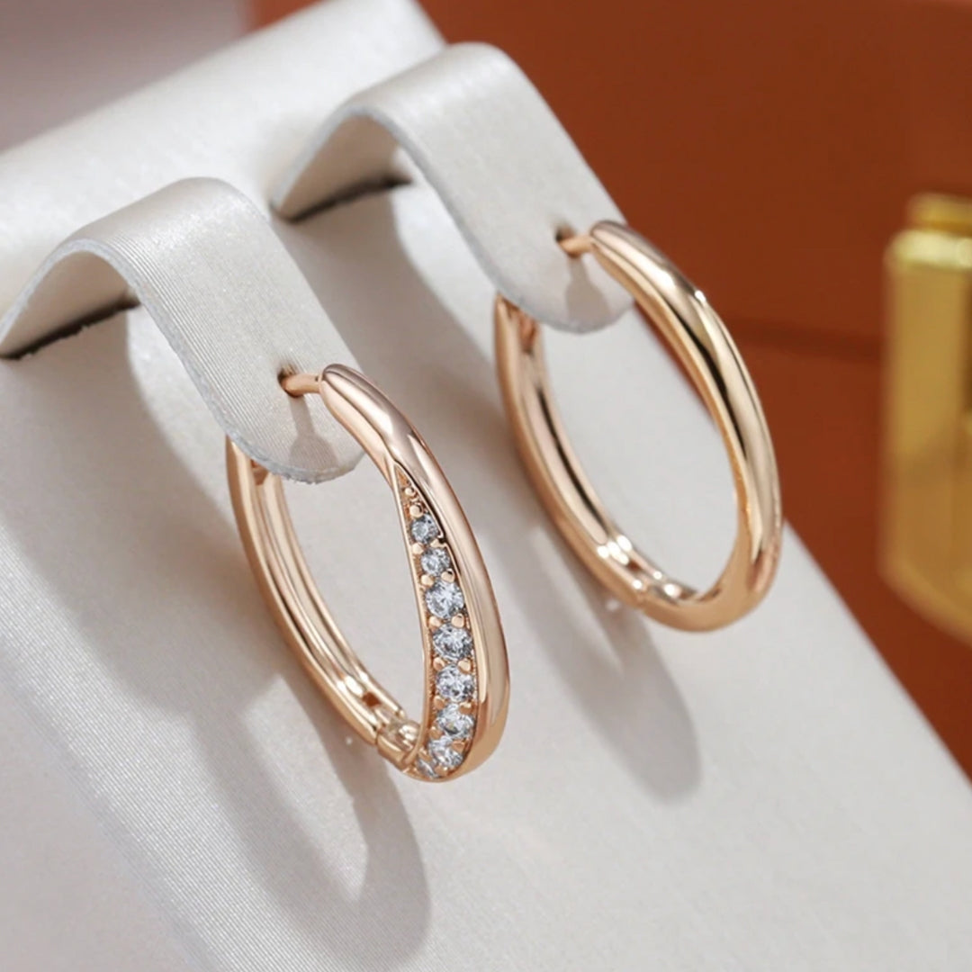 Elegant Gold Hoop Earrings